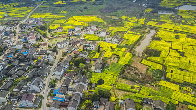 华山村