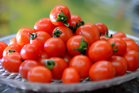 农产品小西红柿