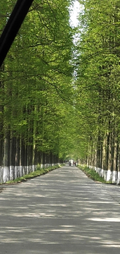 绿色公路