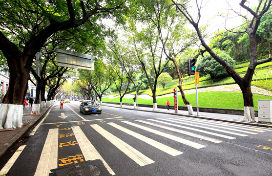 道路斑马线