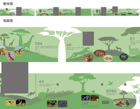 校园动物世界主题墙