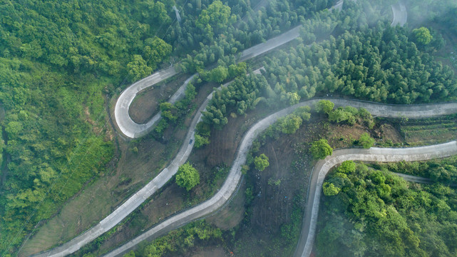 山路弯弯