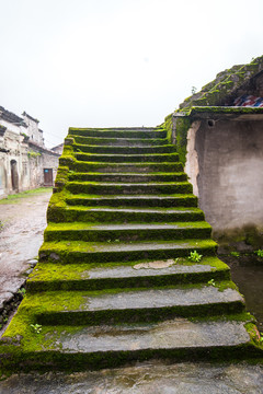 长满青苔的台阶