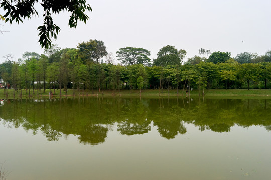 广州植物园