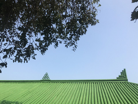 晴空下的绿色屋顶