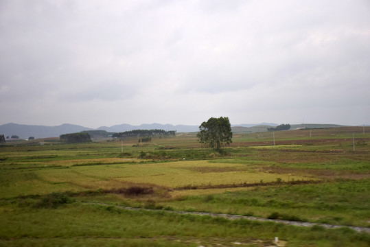 田园风光