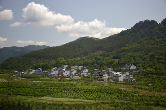 风景如画