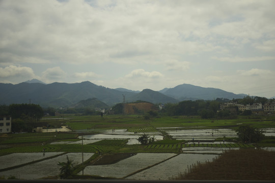 田园风光