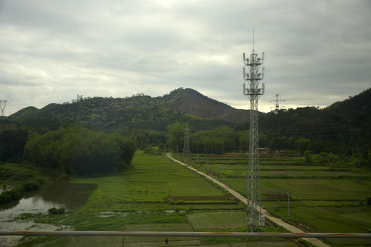 田园风光