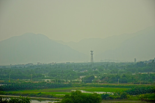 田园