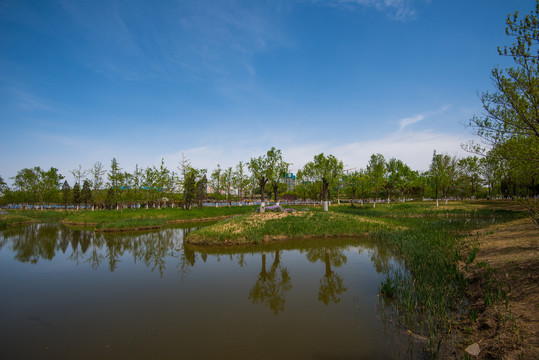 北京湿地风光