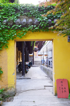 爬山虎与寺院门