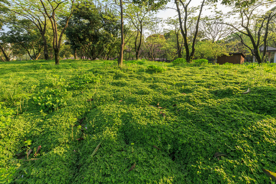 上海交通大学