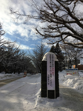 大学校门