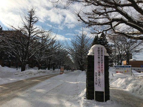 大学校门