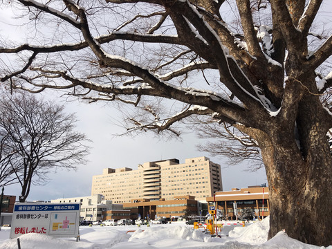 大学雪景