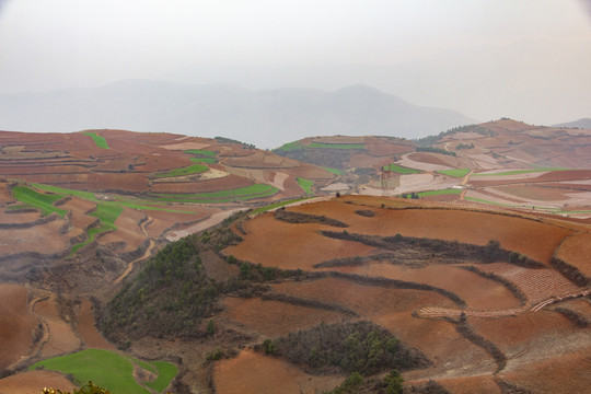 云南东川红土地