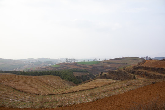 云南东川红土地