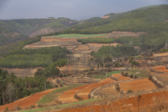 云南东川红土地