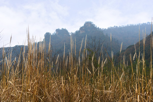 武陵源十里画廊山谷风光