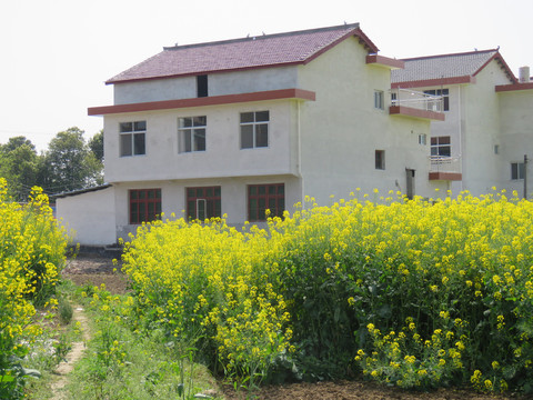 新农村建设