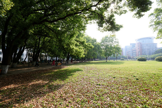 武汉华中师范大学