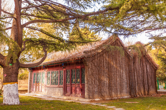 清华大学古建筑