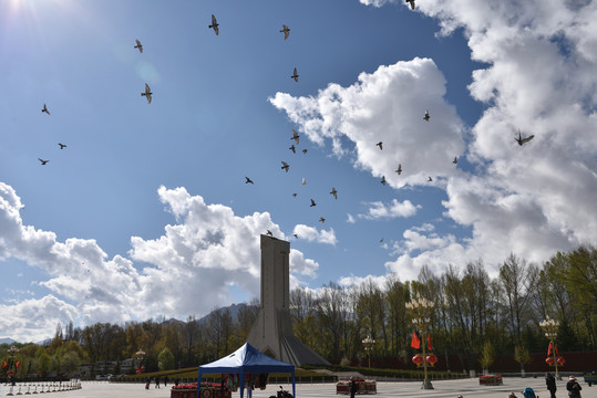 西藏解放纪念碑和鸽子