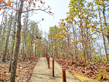 通往拜县大峡谷的路