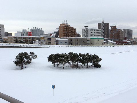 札幌雪景