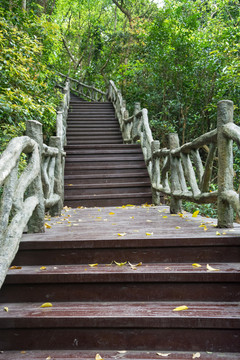 山间步道