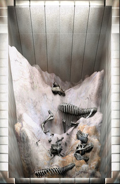 恐龙化石立体画