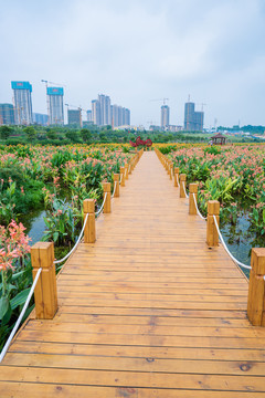 南宁那考河湿地公园木板路