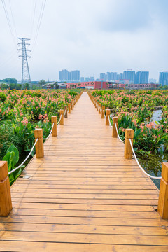 南宁那考河湿地公园木板路