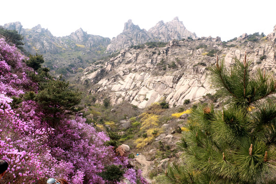 大珠山
