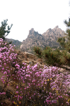 大珠山