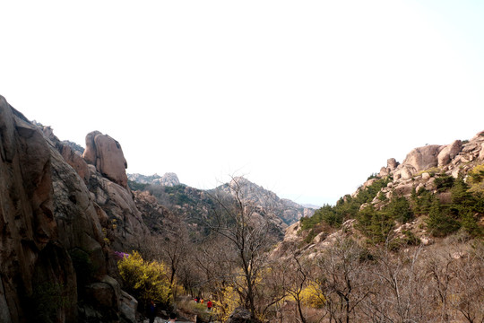 大珠山