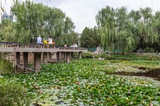 兰州小西湖