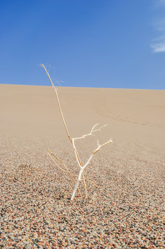 甘肃敦煌鸣沙山沙漠风光