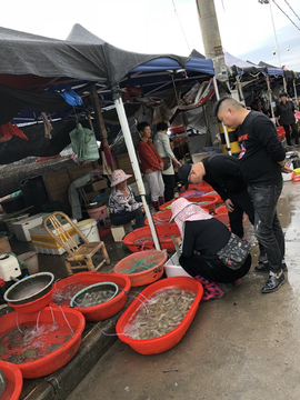 海鲜大市场