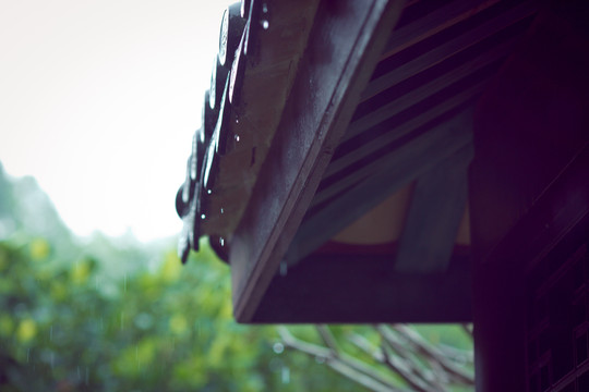 屋檐