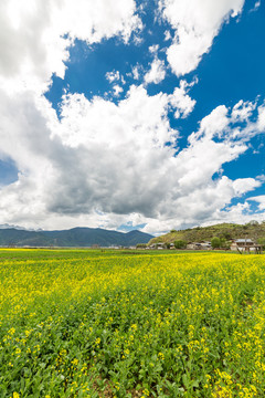 纳帕海依拉草原