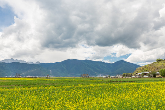 纳帕海依拉草原