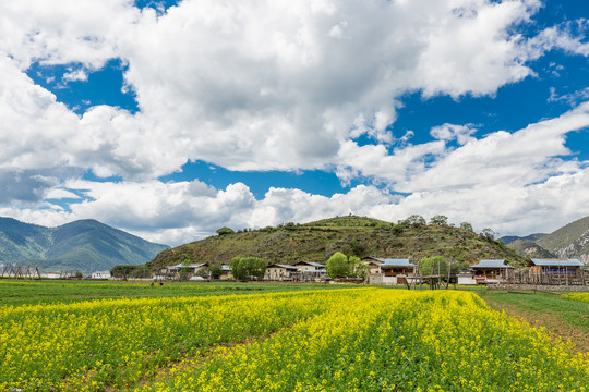 纳帕海依拉草原