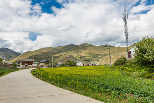 纳帕海依拉草原