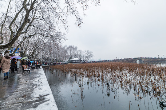 杭州西湖雪景