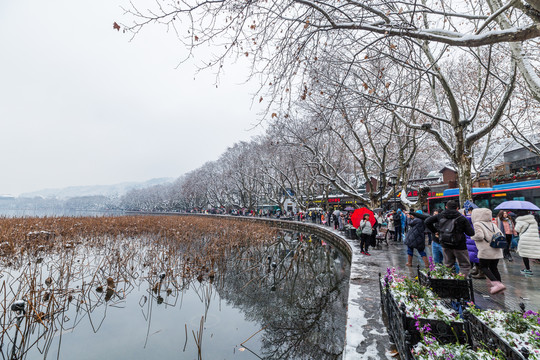 杭州西湖雪景