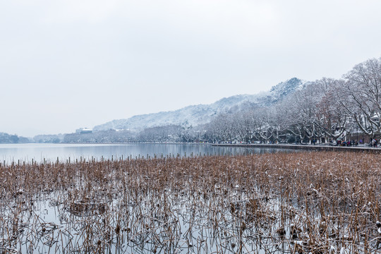 杭州西湖雪景