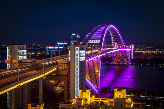 卢浦大桥紫色灯光秀