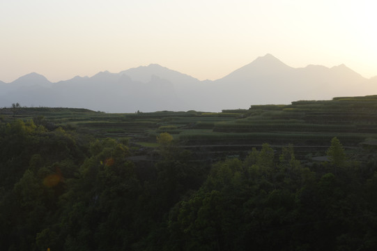 高山梯田